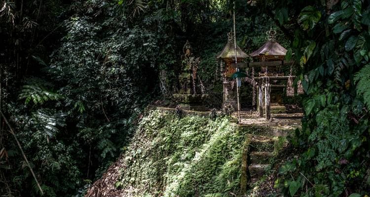 Enriched Bali (Private Tour) - Image 5