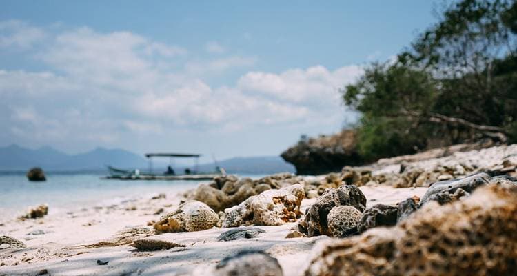 Bali Adventure 12 Days (Private Travel) - Image 5