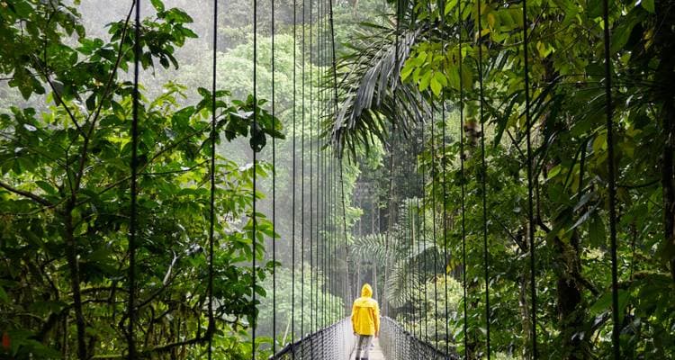Costa Rica Eco-Adventure - Image 2