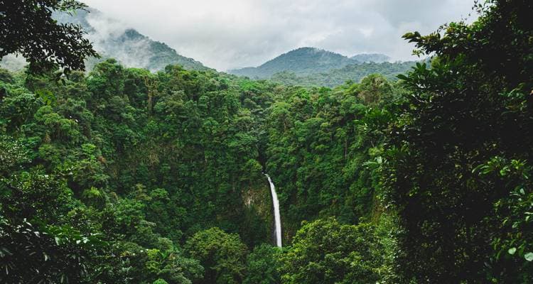 Costa Rica Eco-Adventure - Image 3