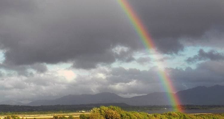 Epic Ireland - Image 2