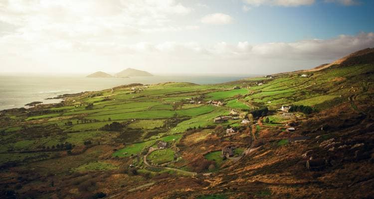 Epic Ireland - Image 5