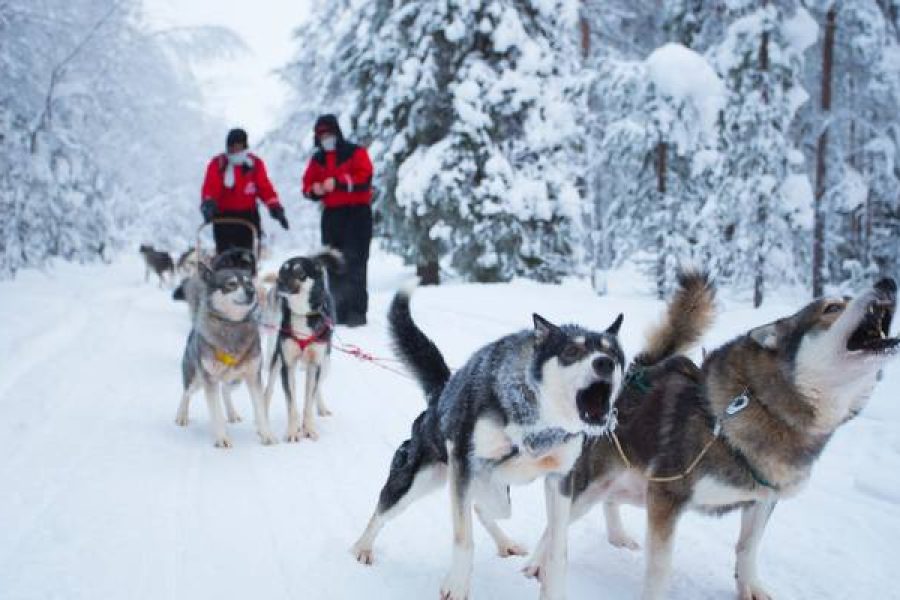 Luxury Finland with Lapland Adventure